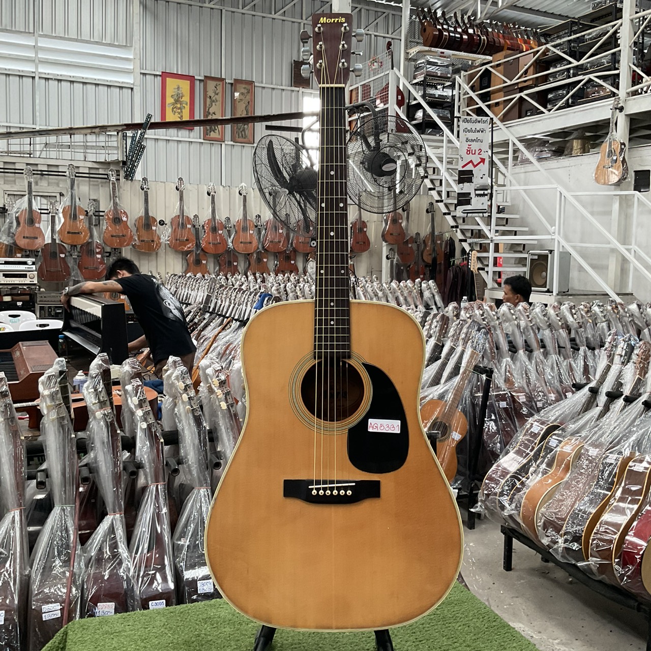 กีต้าร์โปร่ง Morris : W-18