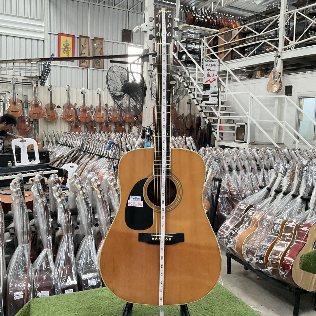 กีต้าร์โปร่ง Morris : W-20 (สำหรับมือซ้าย)