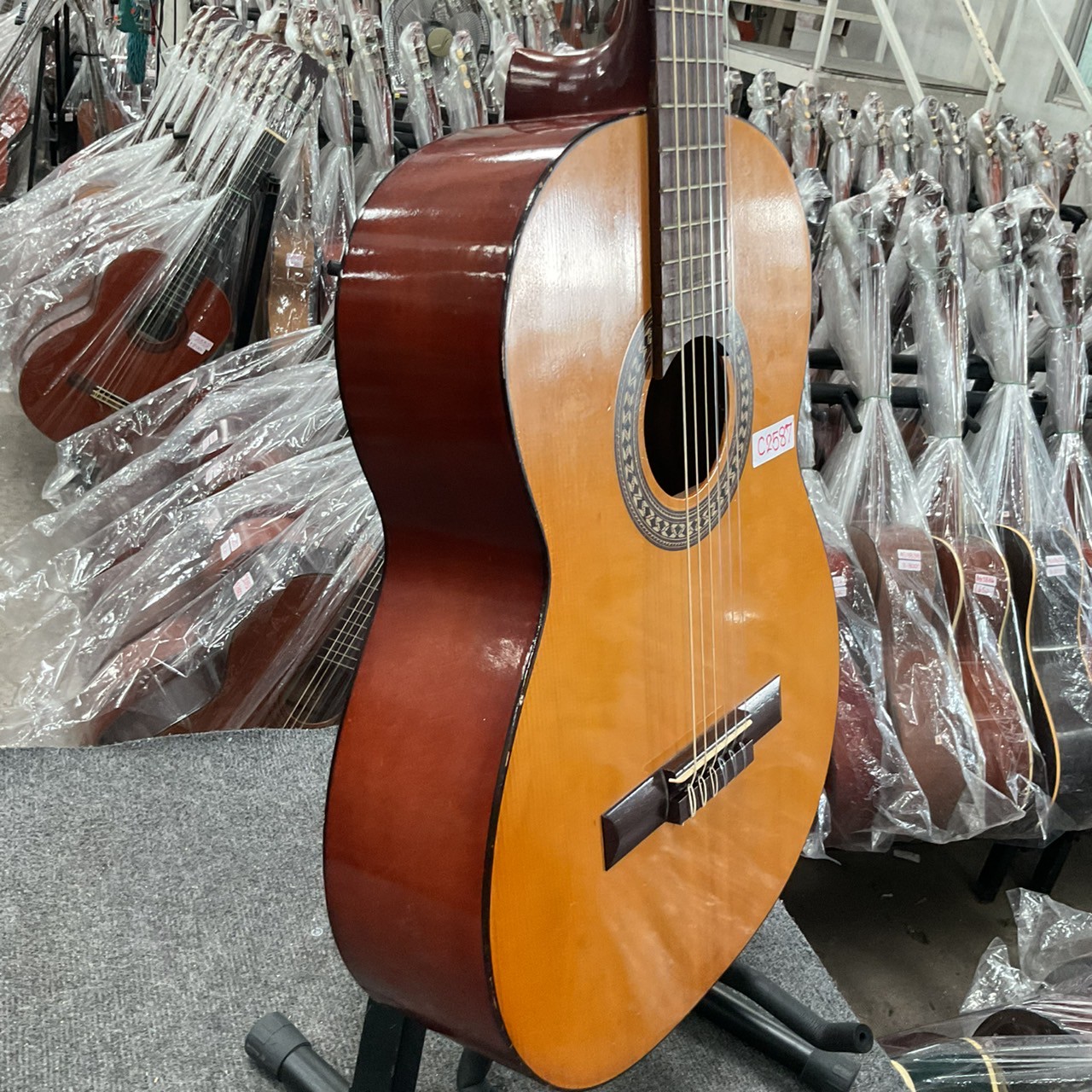 กีต้าร์คลาสสิค GREAT LAKE : G-180