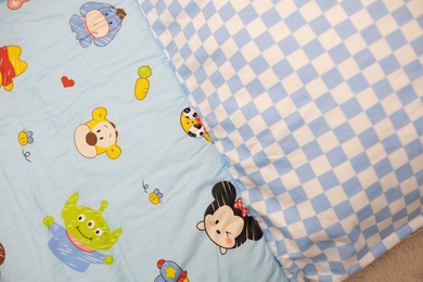 D2kids ที่นอนปิคนิคเด็ก รุ่น ถุงนอน ALL IN ONE ถอดผ้าห่มแยกได้