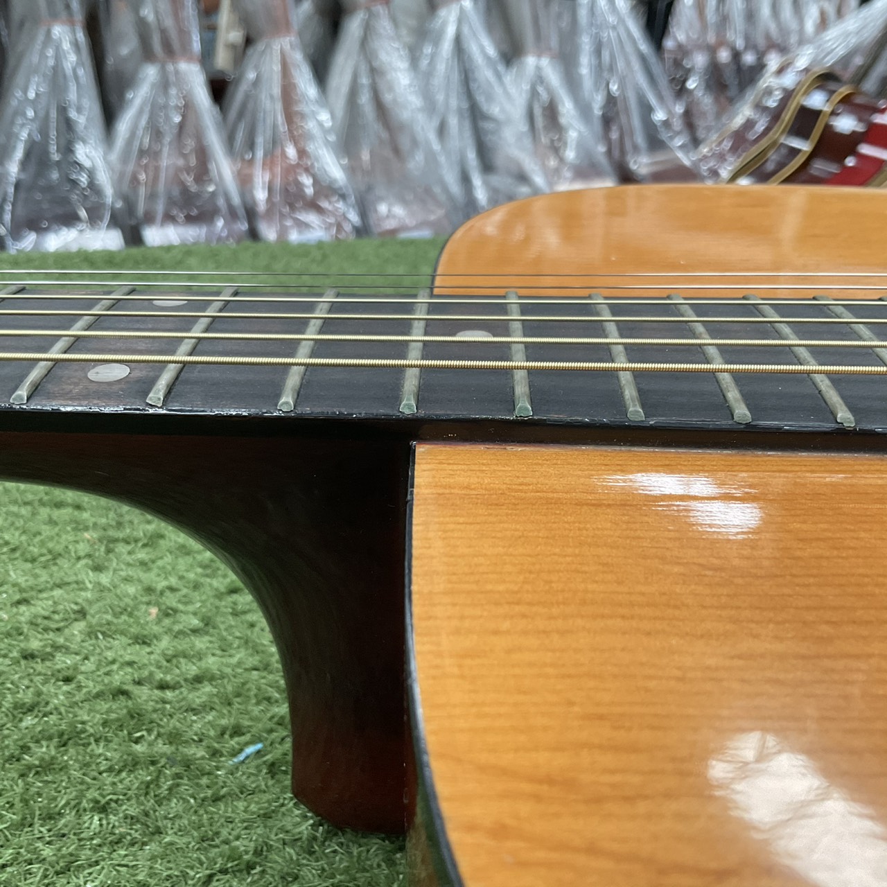 กีต้าร์โปร่ง Serena