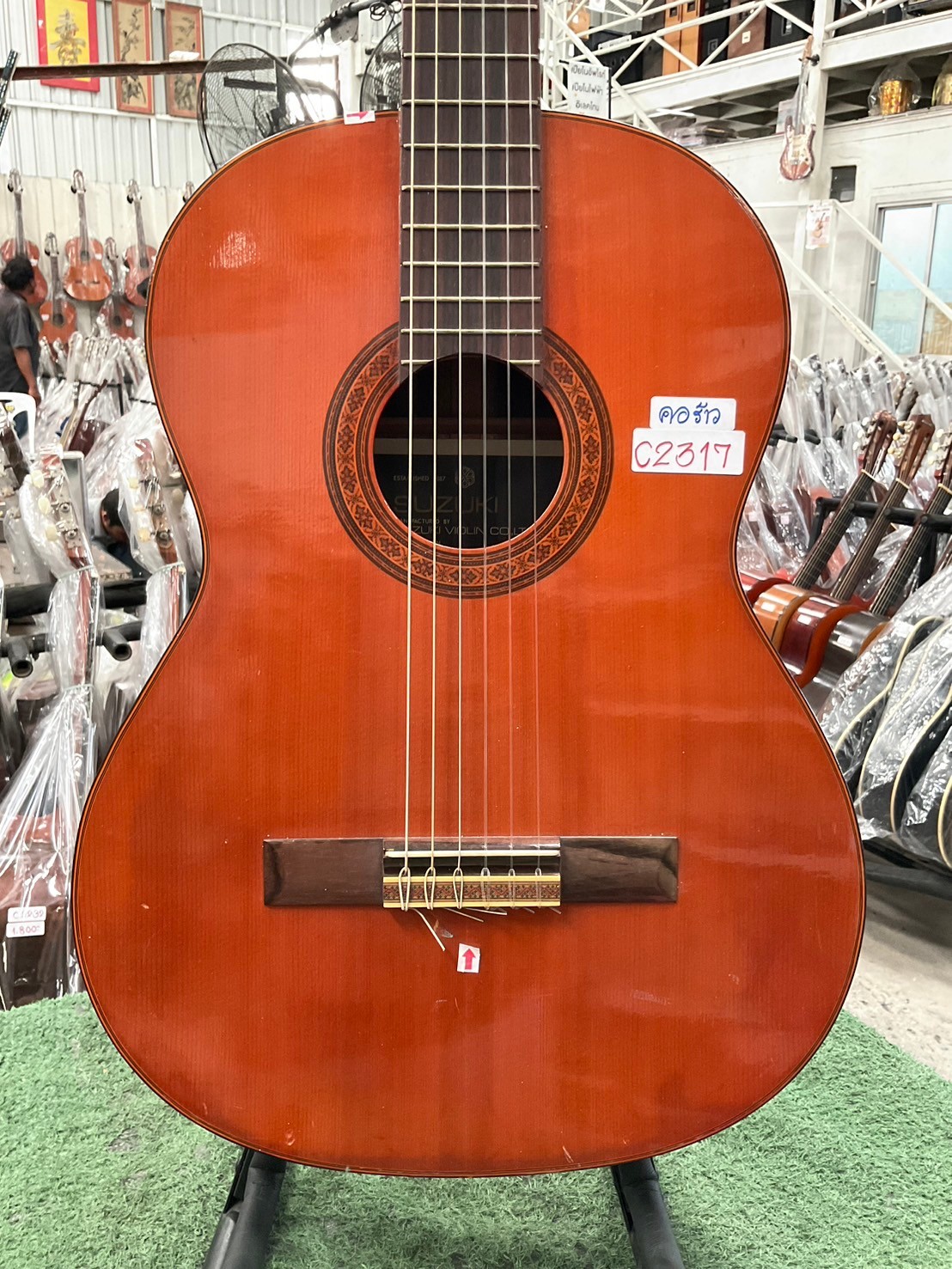 กีต้าร์คลาสสิค SUZUKI : C-13