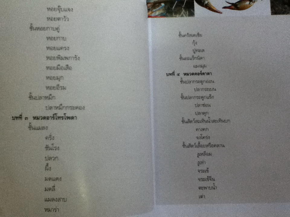 เครื่องยาสัตววัตถุ คู่มือเภสัชกรรมแผนไทย เล่ม 3