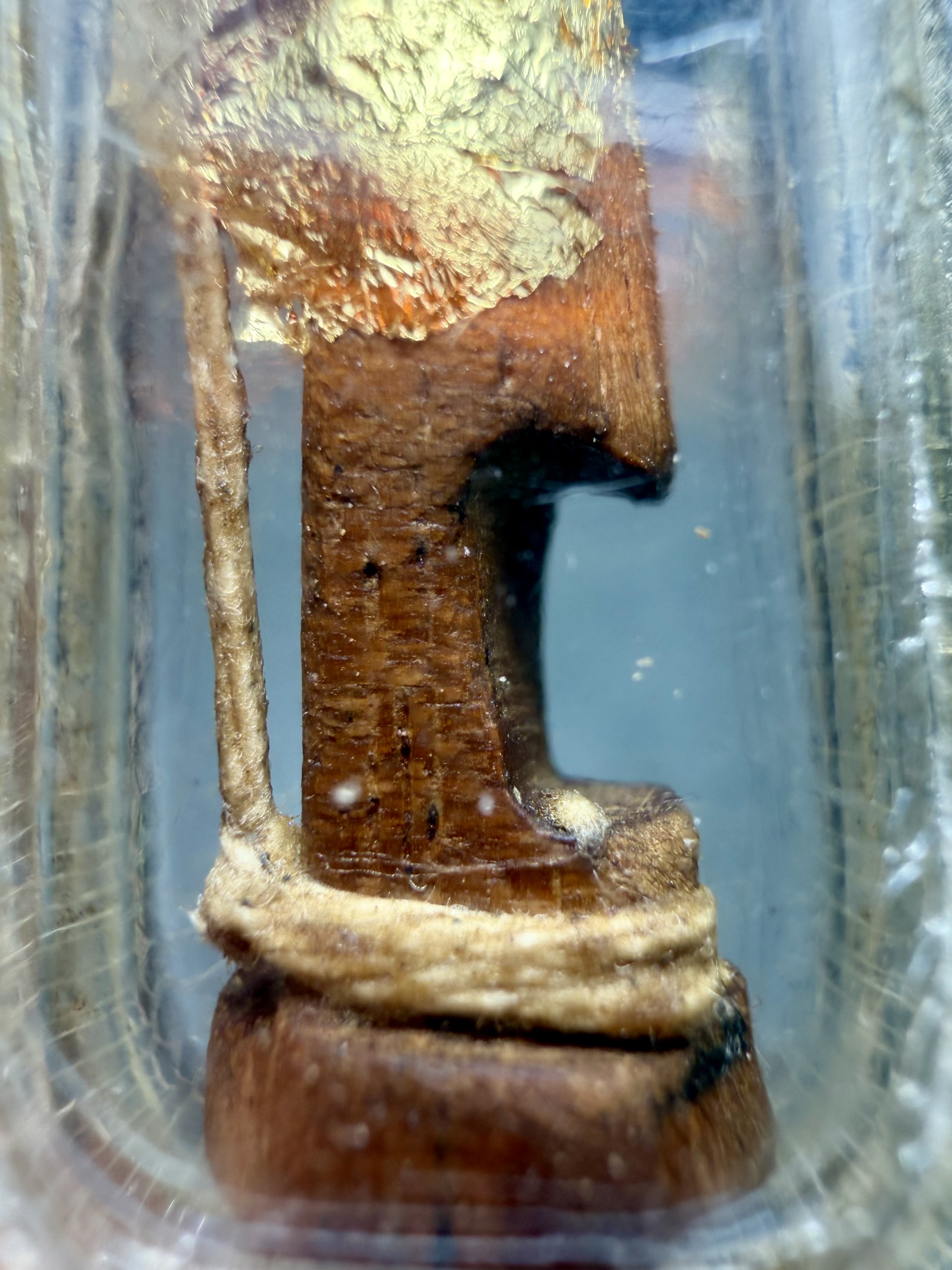 อิ้นไม้วัวลืมคอก Cow-Forget-Pen Inn-Kuu. SKU-04052