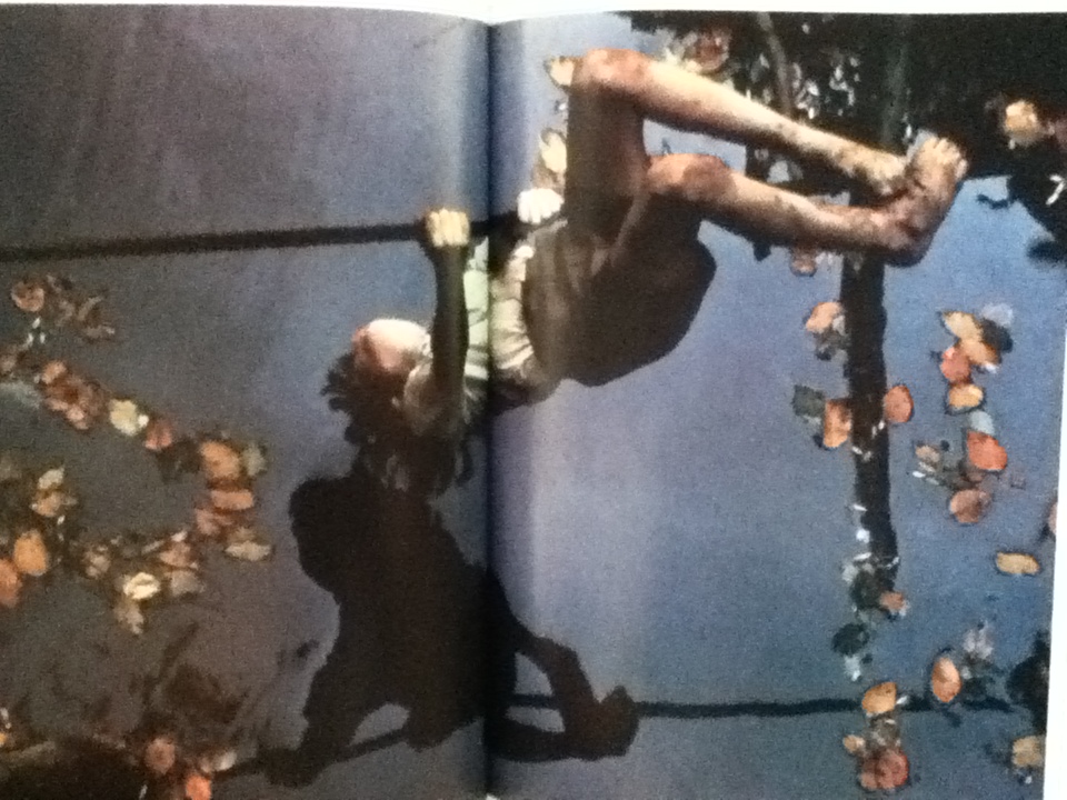 The Joy of LIFE/ Philip B. Kunhardt Jr.