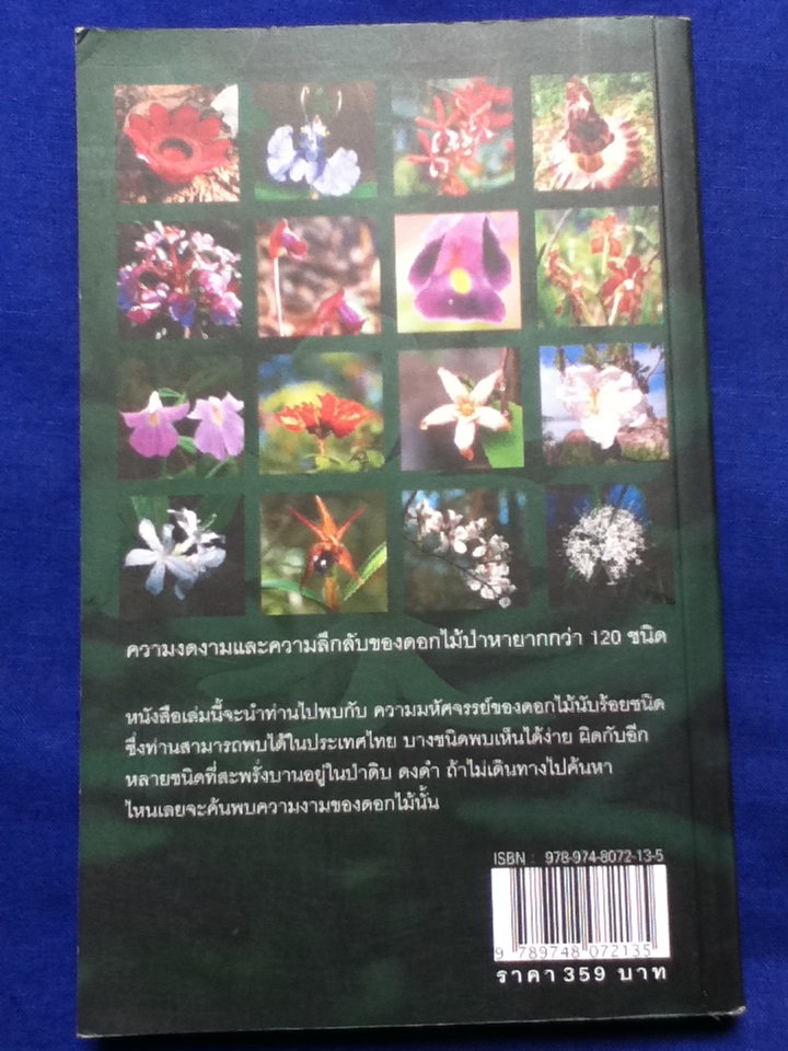 มหัศจรรย์ดอกไม้ป่า เล่ม 1