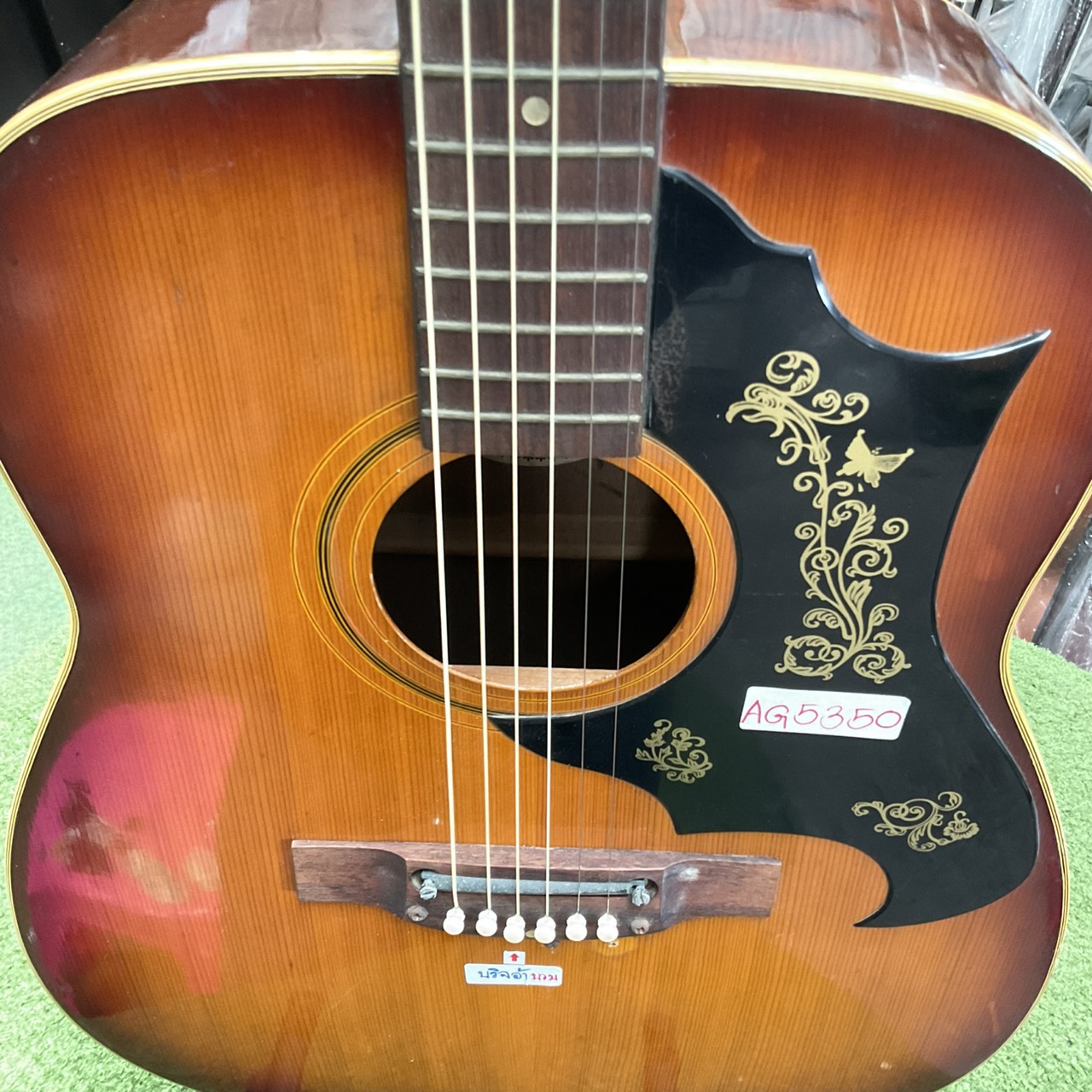 กีต้าร์โปร่ง Emperador : Metoro / F150