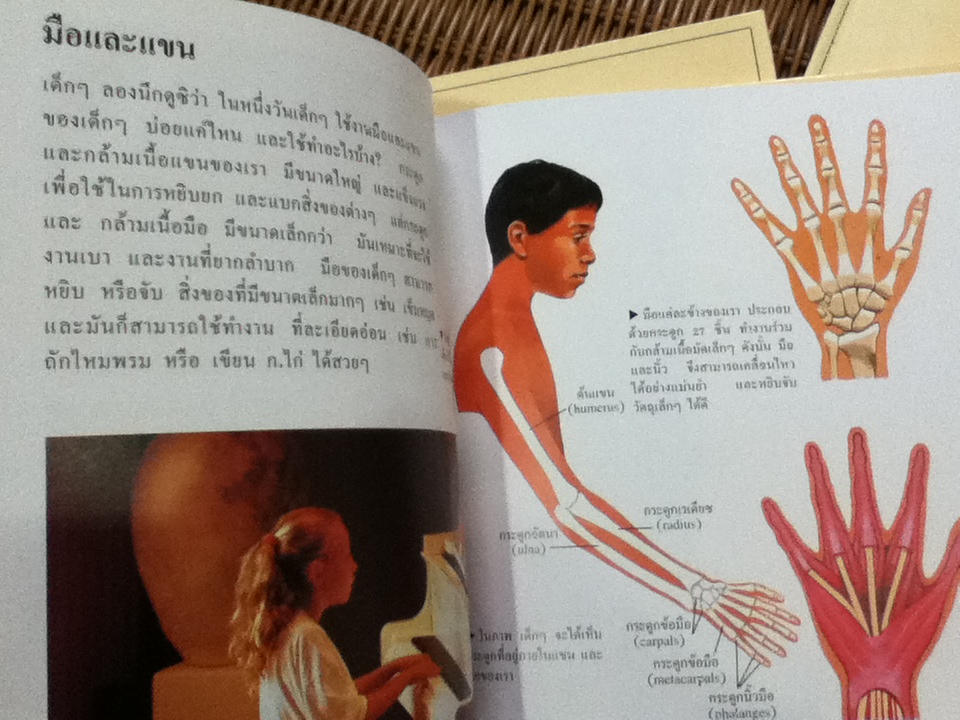 FIRST STARTS ชุดร่างกายของเรา 3เล่ม การกินอาหาร, การเคลื่อนไหว, การเกิด และการเจริญเติบโต