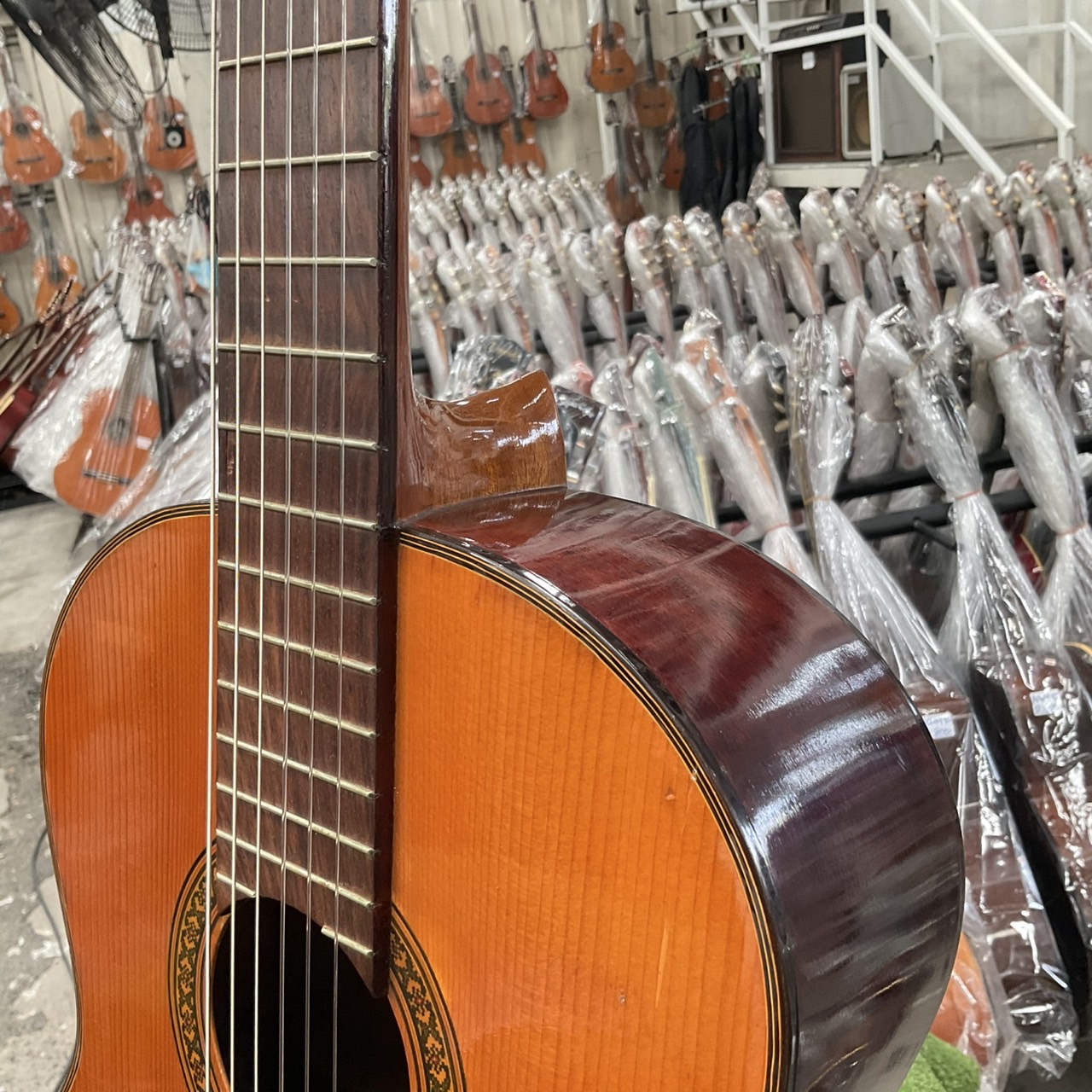 กีต้าร์คลาสสิค Shinano : No.15