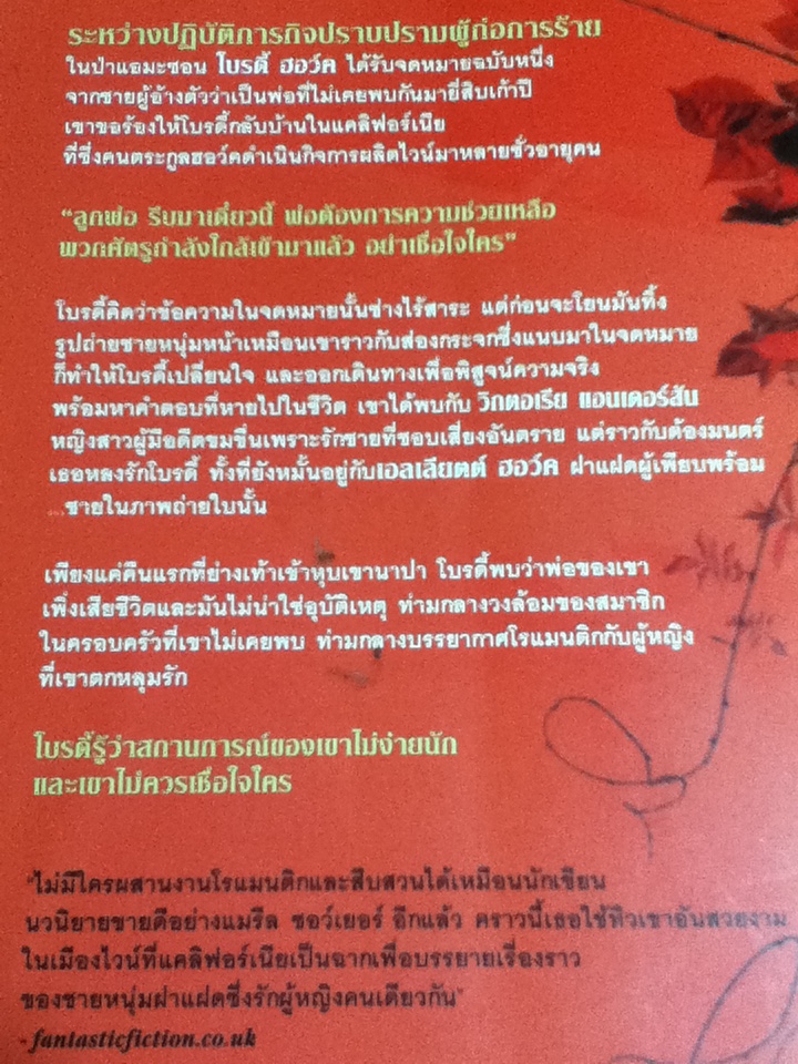 หลงเงา Trust No One