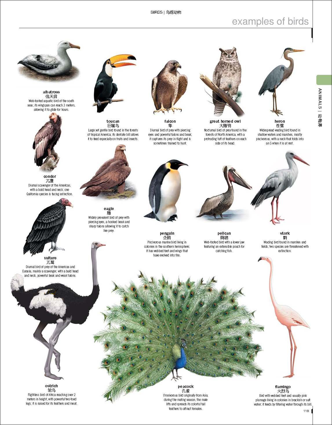 พจนานุกรมภาพ อังกฤษ-จีน ฉบับใหม่ (สี่สี) 2020 最新英汉百科图解大词典 New English-Chinese Encyclopedic Visual Dictionary
