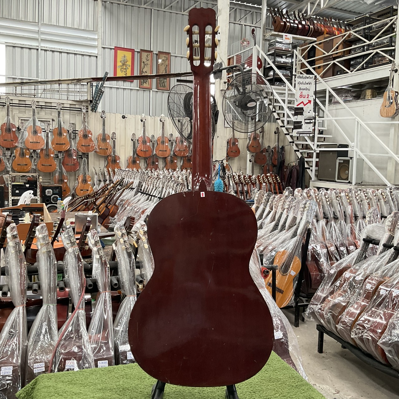 กีต้าร์คลาสสิค SUZUKI : C-10