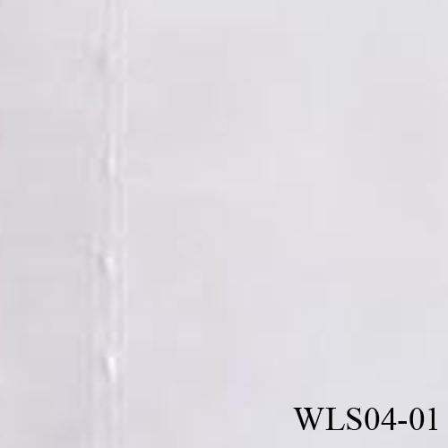 WLS04