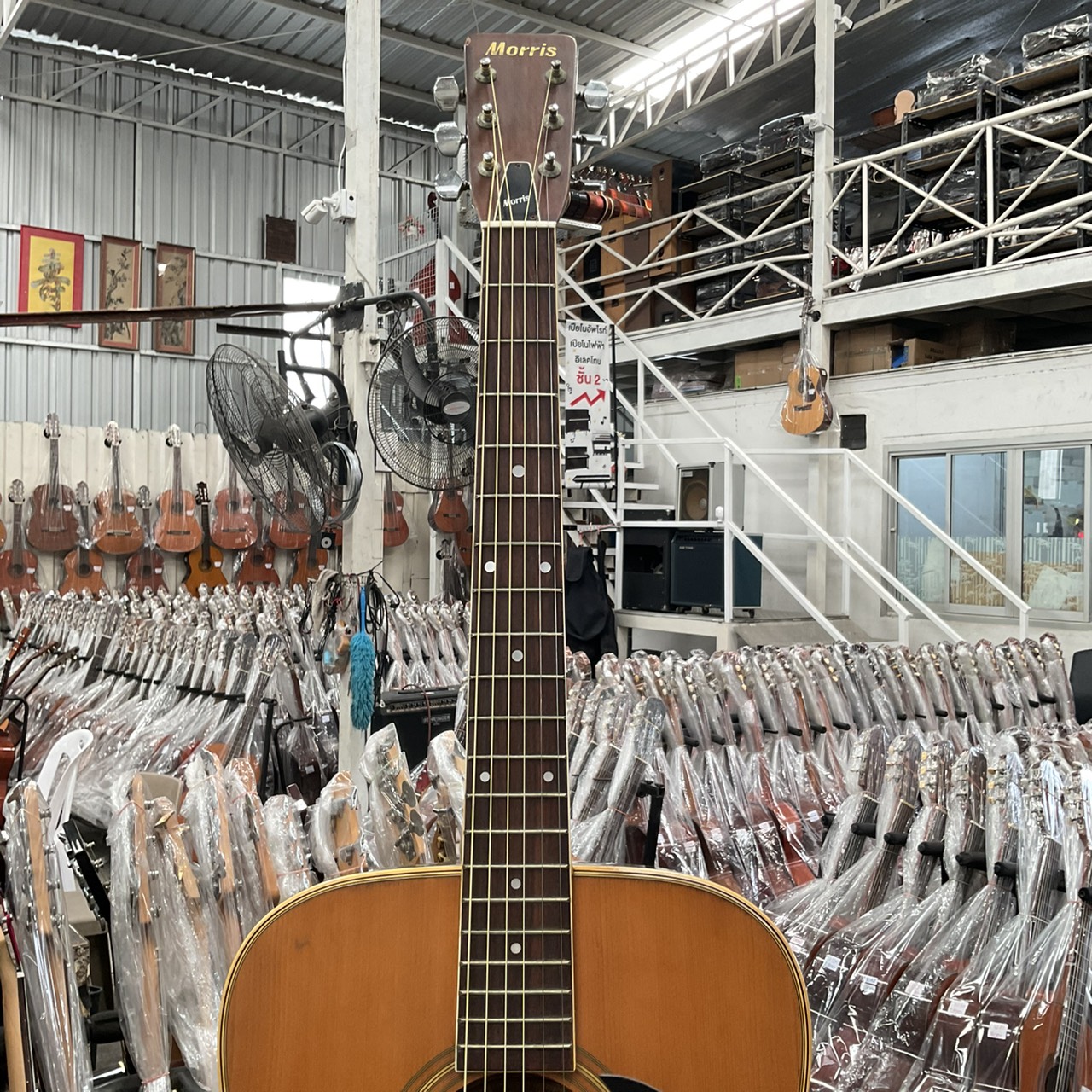 กีต้าร์โปร่ง Morris : W-20