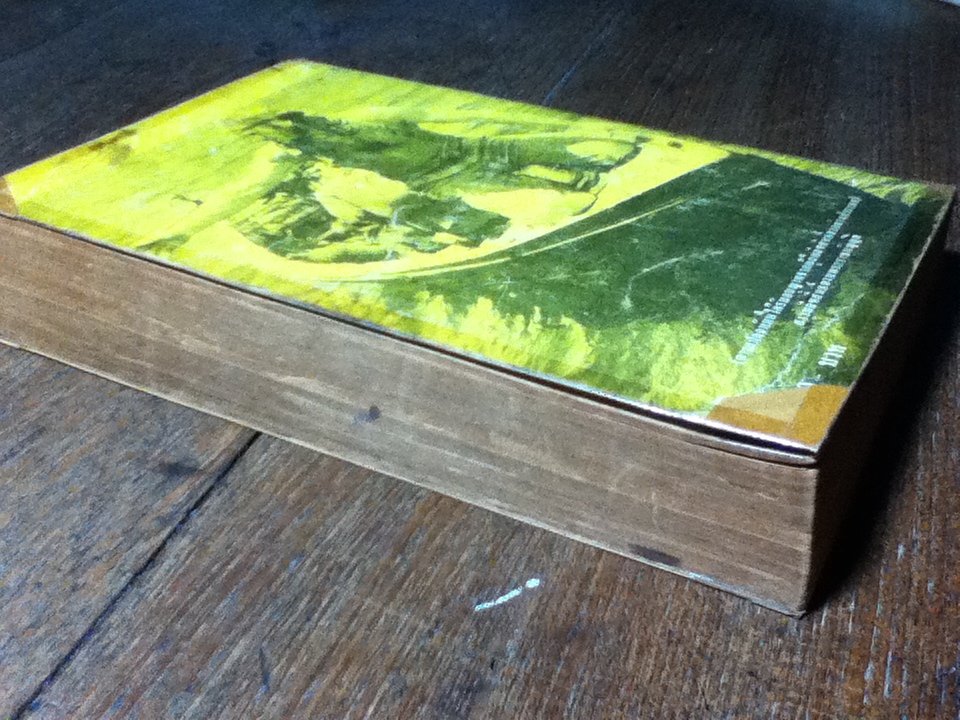 ปาปิญอง