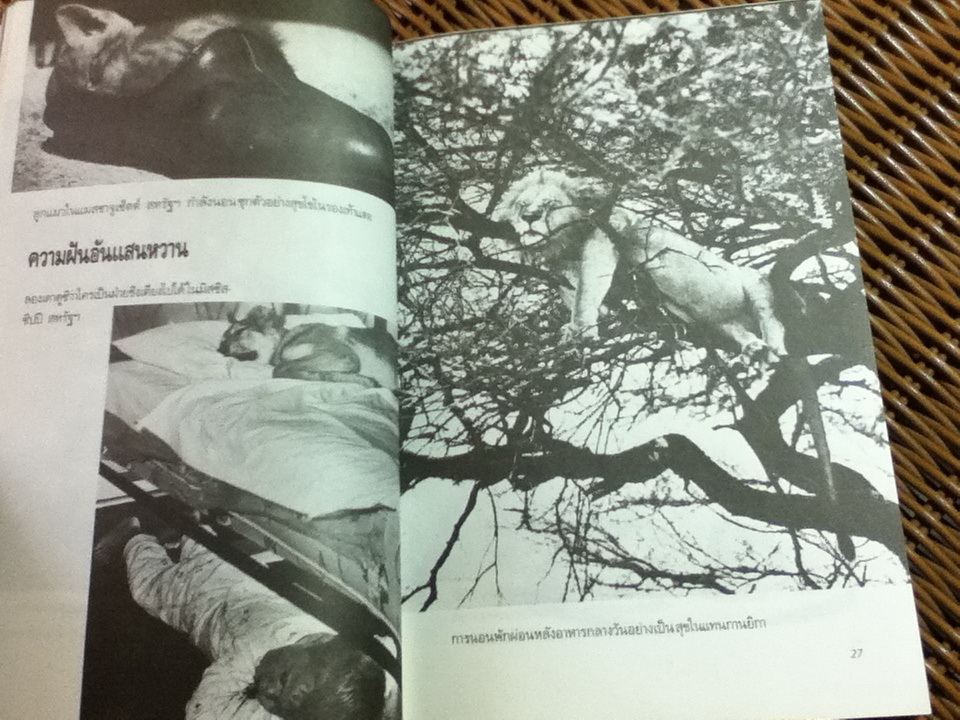 ก๊ากจนฟันปลอมหลุด/ ฟิลิป บี คุณฮาดต์, จูเนียร์