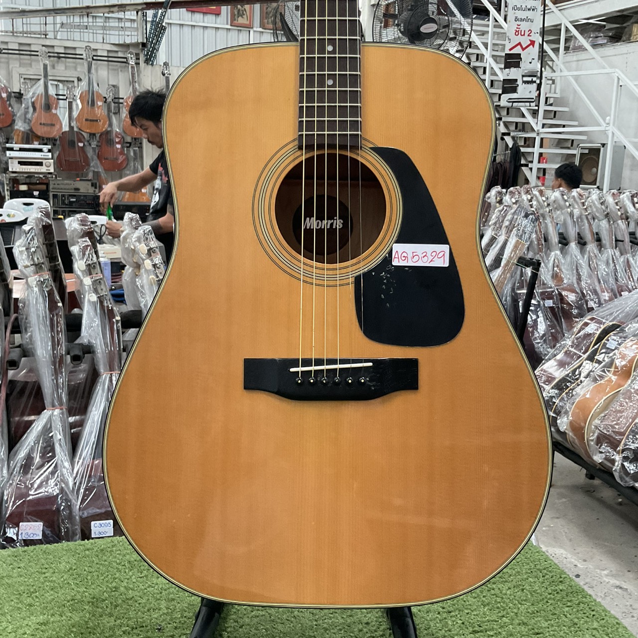 กีต้าร์โปร่ง Morris : MD-501
