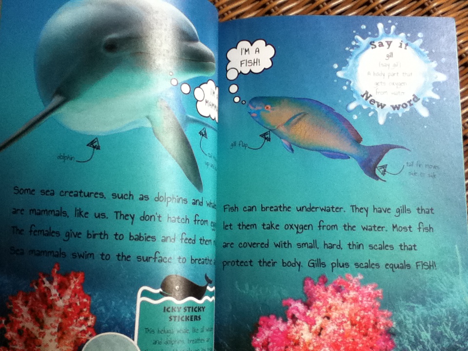 Wiggly Worm และ Splendid Sea Creatures รวม 2 เล่ม