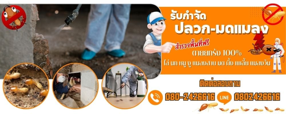 บริษัทกำจัดปลวกและแมล
