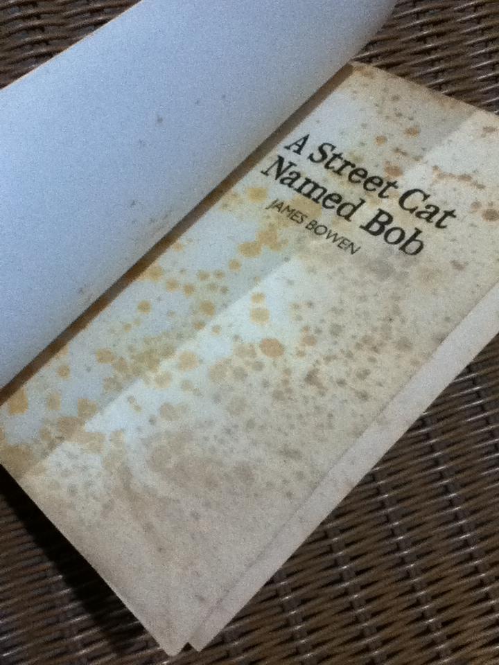 A Street Cat Named Bob/ JAMES BOWEN