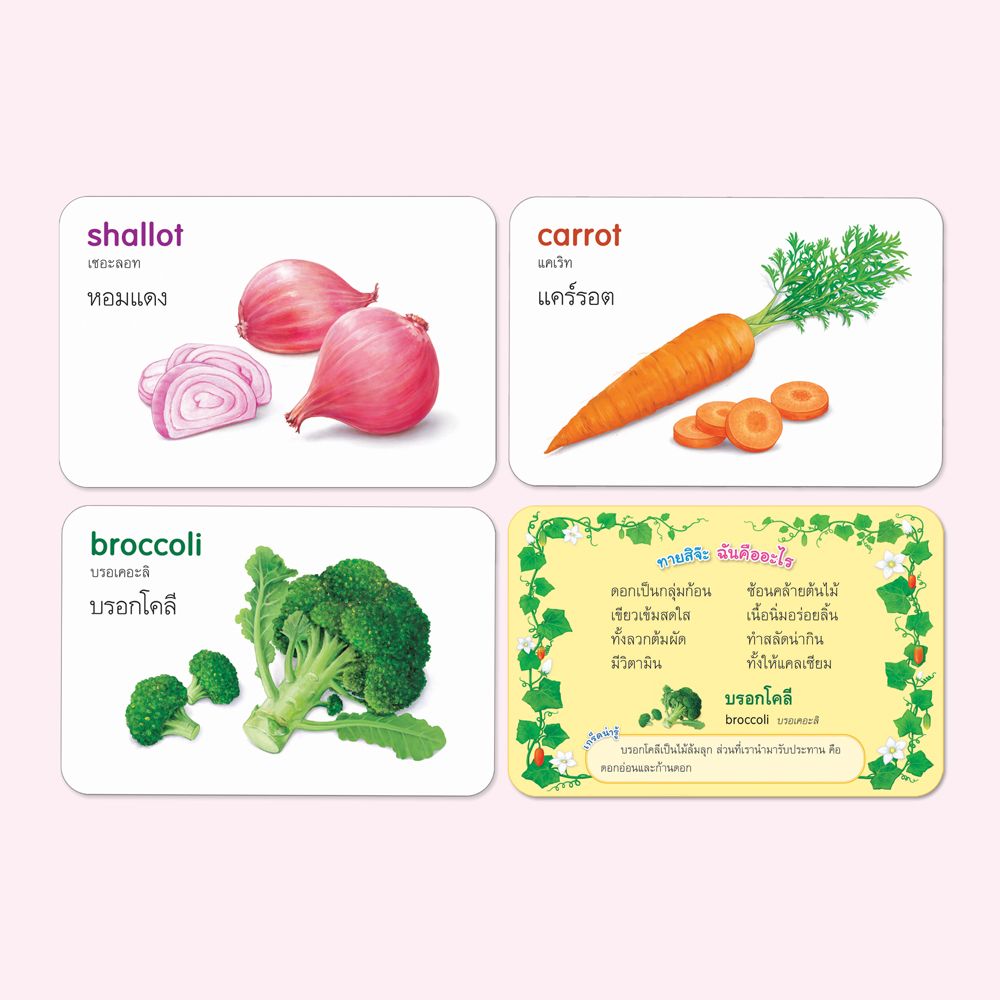 Book World Flash Card สื่อการเรียนรู้ บัตรภาพผัก 2 ภาษา (ไทย-อังกฤษ) พร้อมปริศนาคำทายให้เด็กเล่นทายชื่อผัก NEW