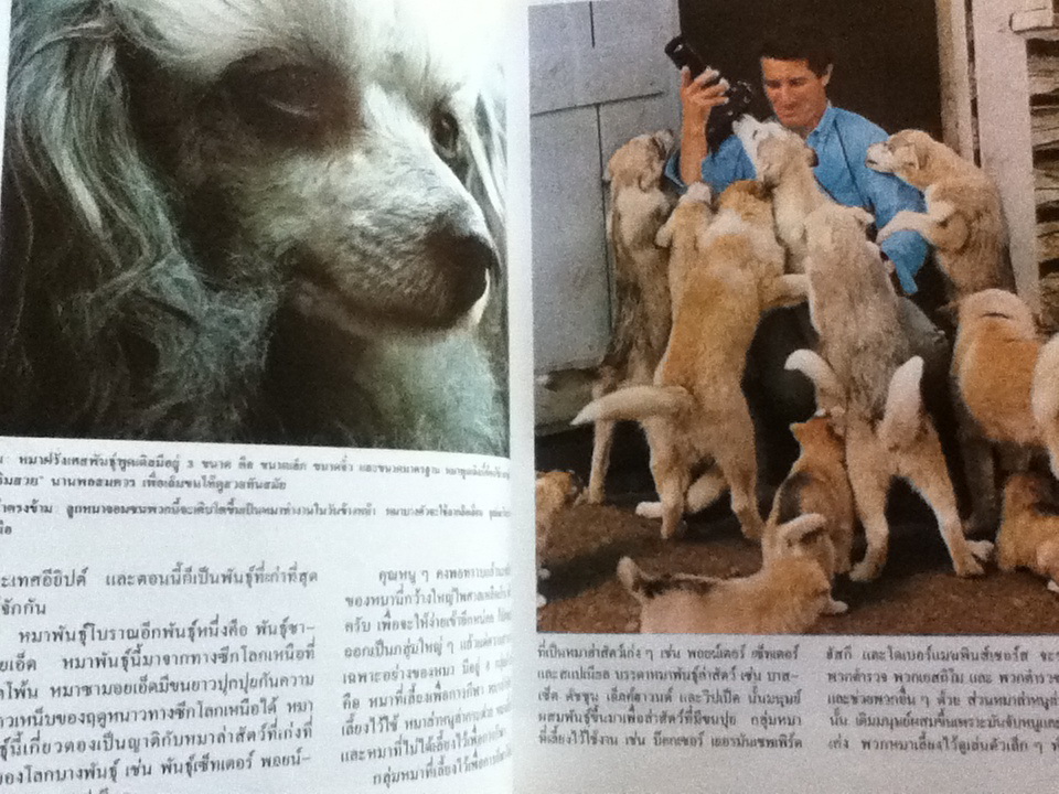 Disney's โลกมหัศจรรย์ 10 เล่ม