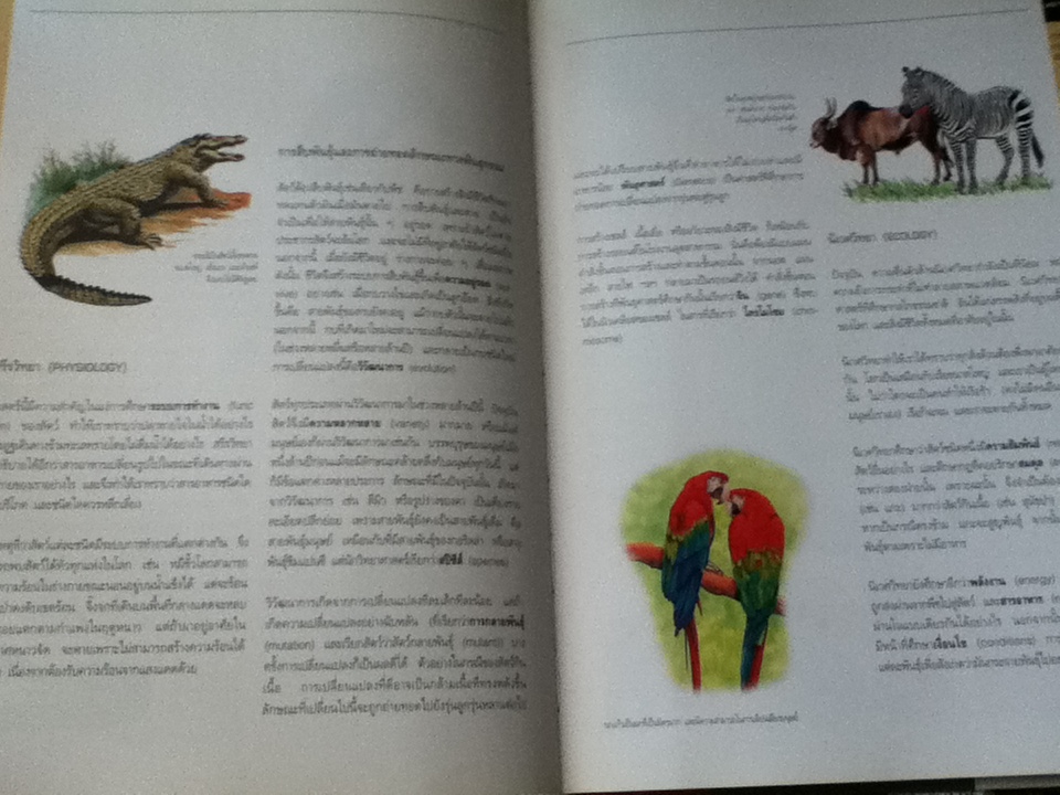 essential atlas of zoology สัตววิทยา