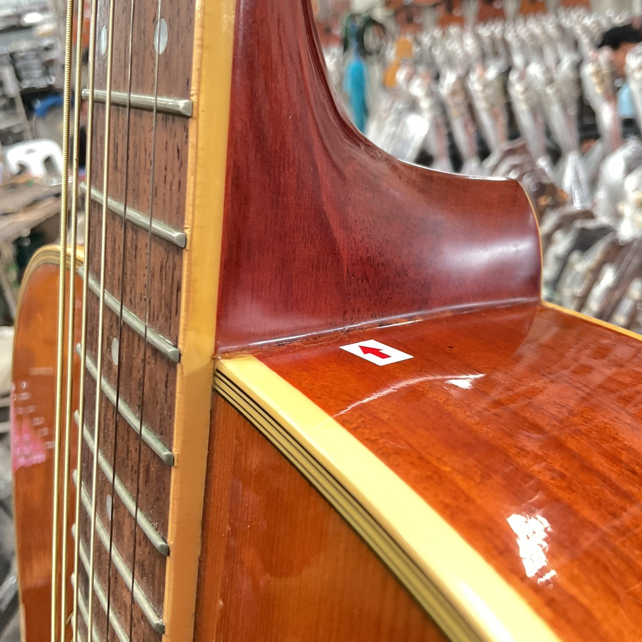 กีต้าร์โปร่ง Morris