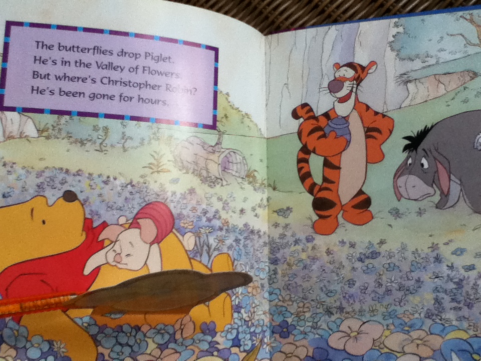 Winnie the Pooh Where's Christopher Robin? / Lift-the-flap
