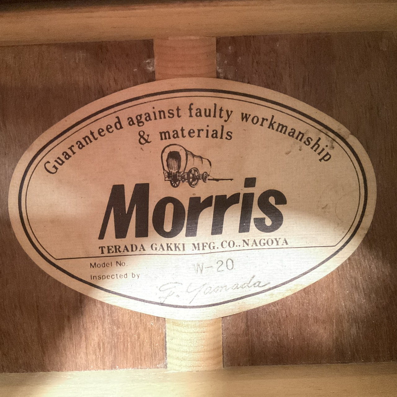 กีต้าร์โปร่ง Morris : W-20