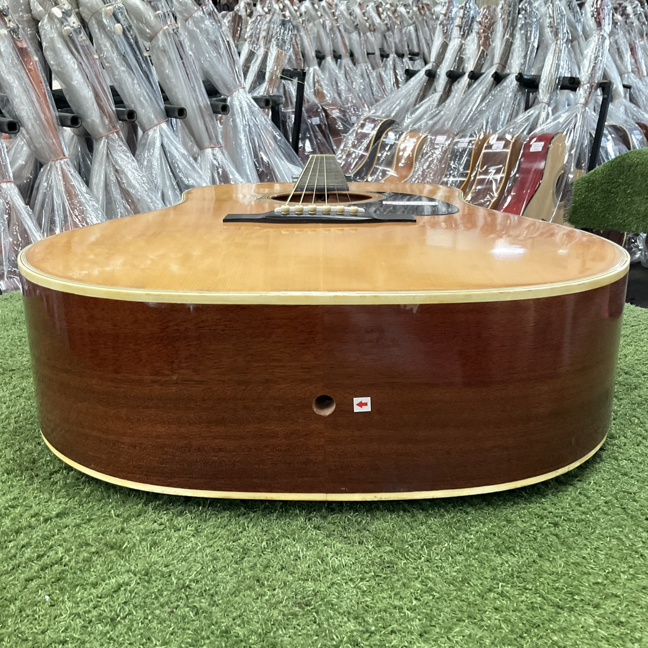 กีต้าร์โปร่ง Morris : W-18