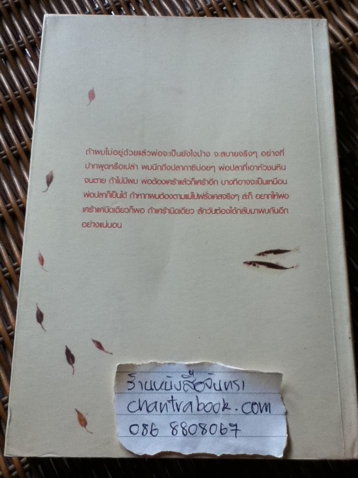 กาซิโกกิ/ โจ ชางอิน