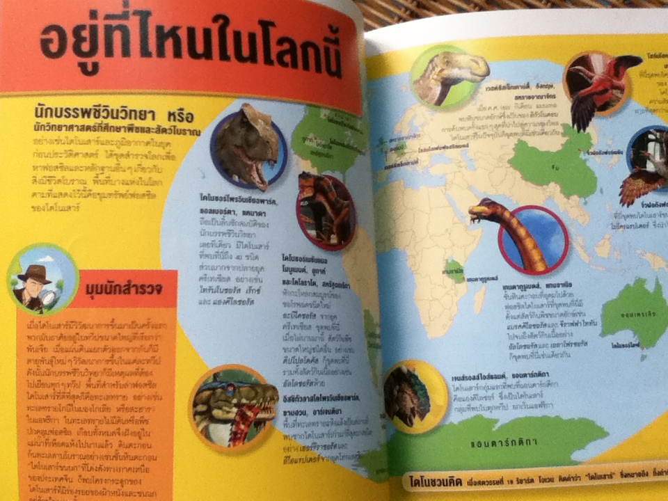 NATIONAL GEOGRAPHIC KIDS ชุด รู้ไปหมด เรื่องแมลง, เรื่องอวกาศ, เรื่องอียิปต์โบราณ และเรื่องไดโนเสาร์ รวม 4 เล่ม