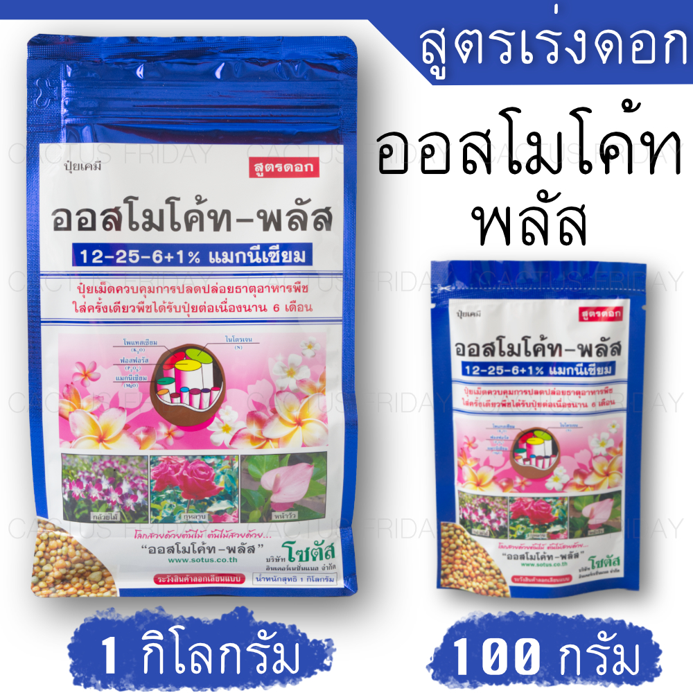 ปุ๋ยออสโมโค้ท-พลัส สูตร 12-25-6+1% แมกนีเซียม (เร่งดอก)