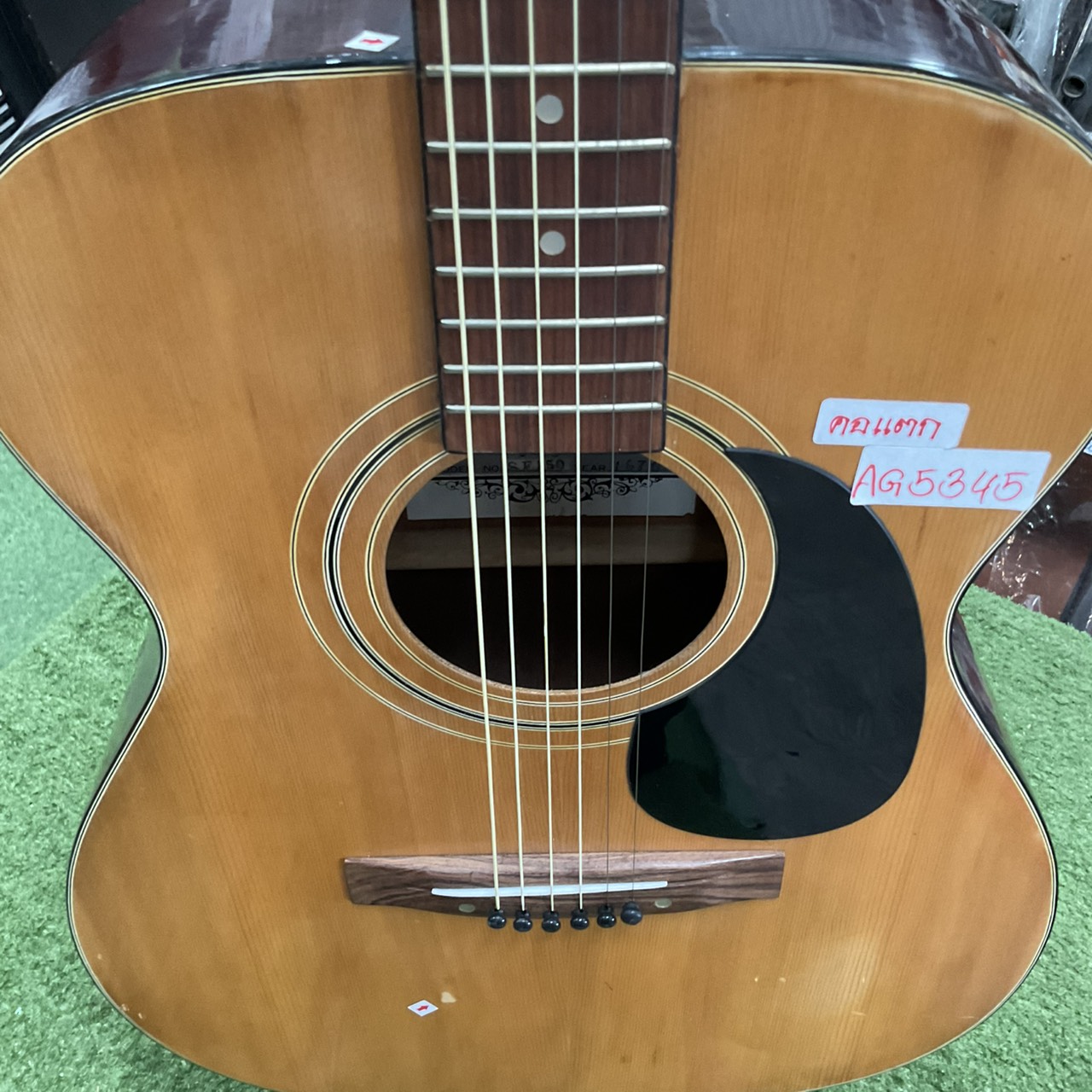 กีต้าร์โปร่ง Horugel : SF150