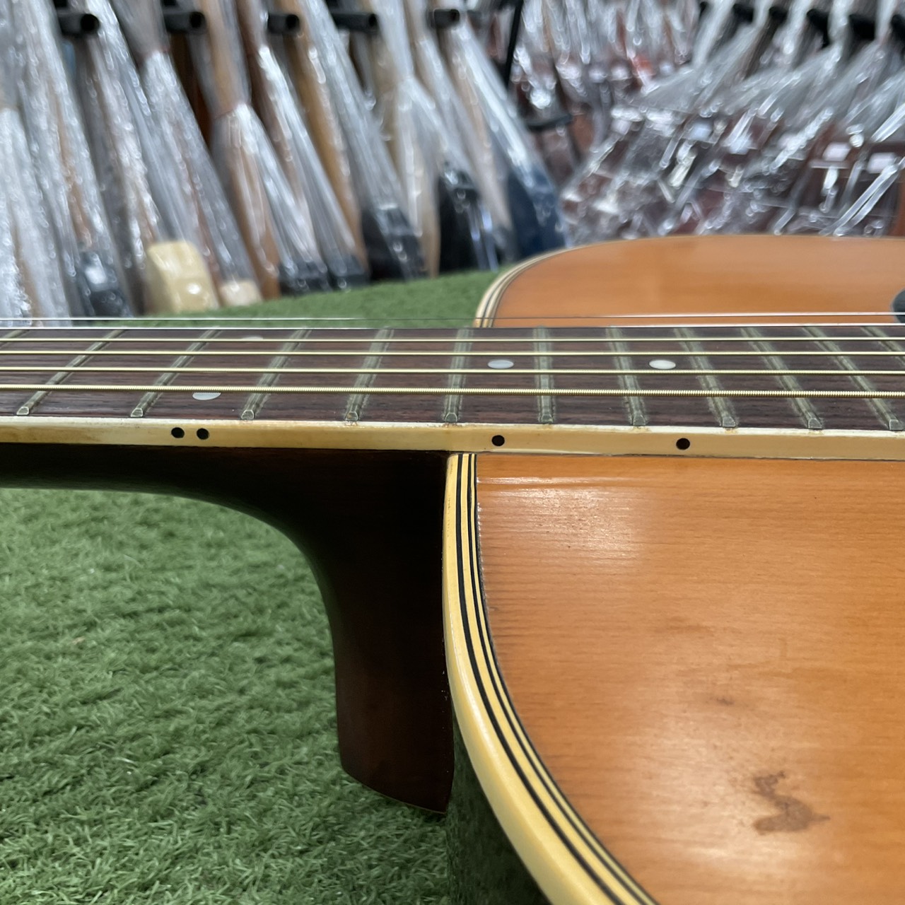 กีต้าร์โปร่ง Morris : W-20