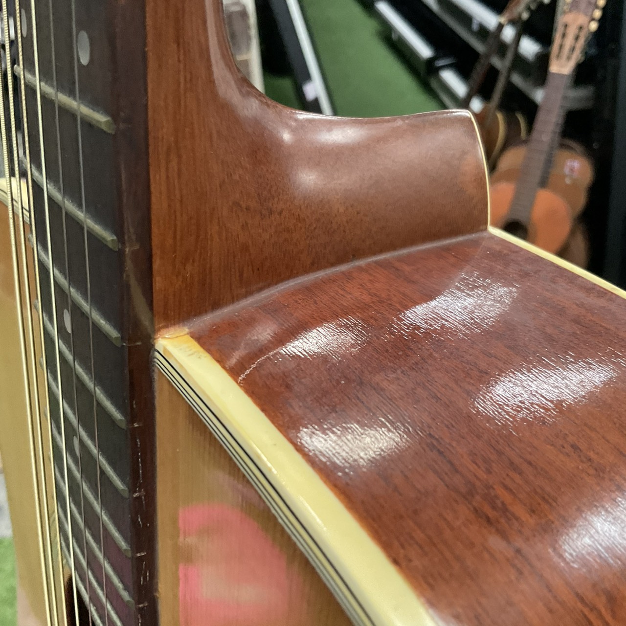 กีต้าร์โปร่ง Morris : W-18