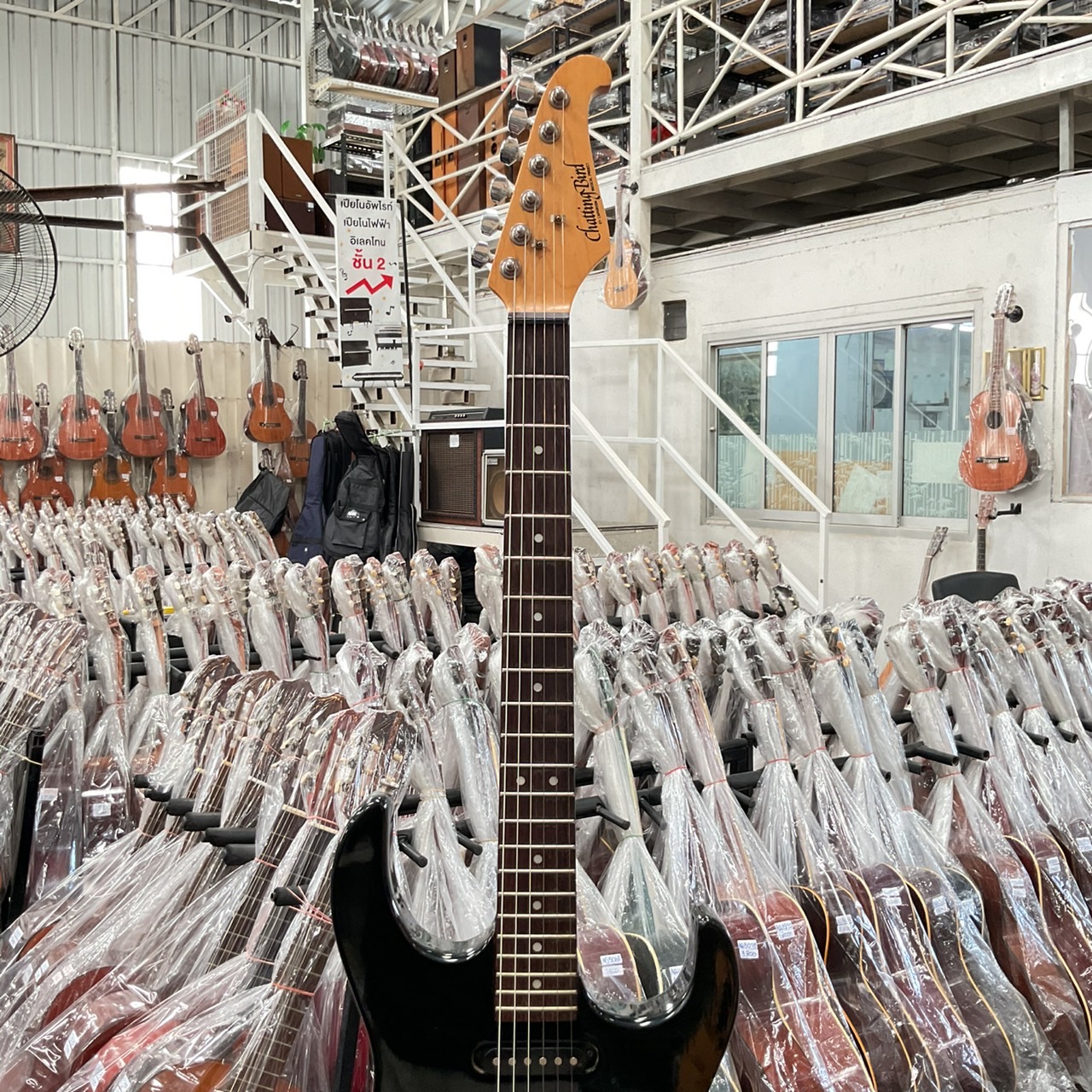 กีต้าร์ไฟฟ้า CHATTING BIRD