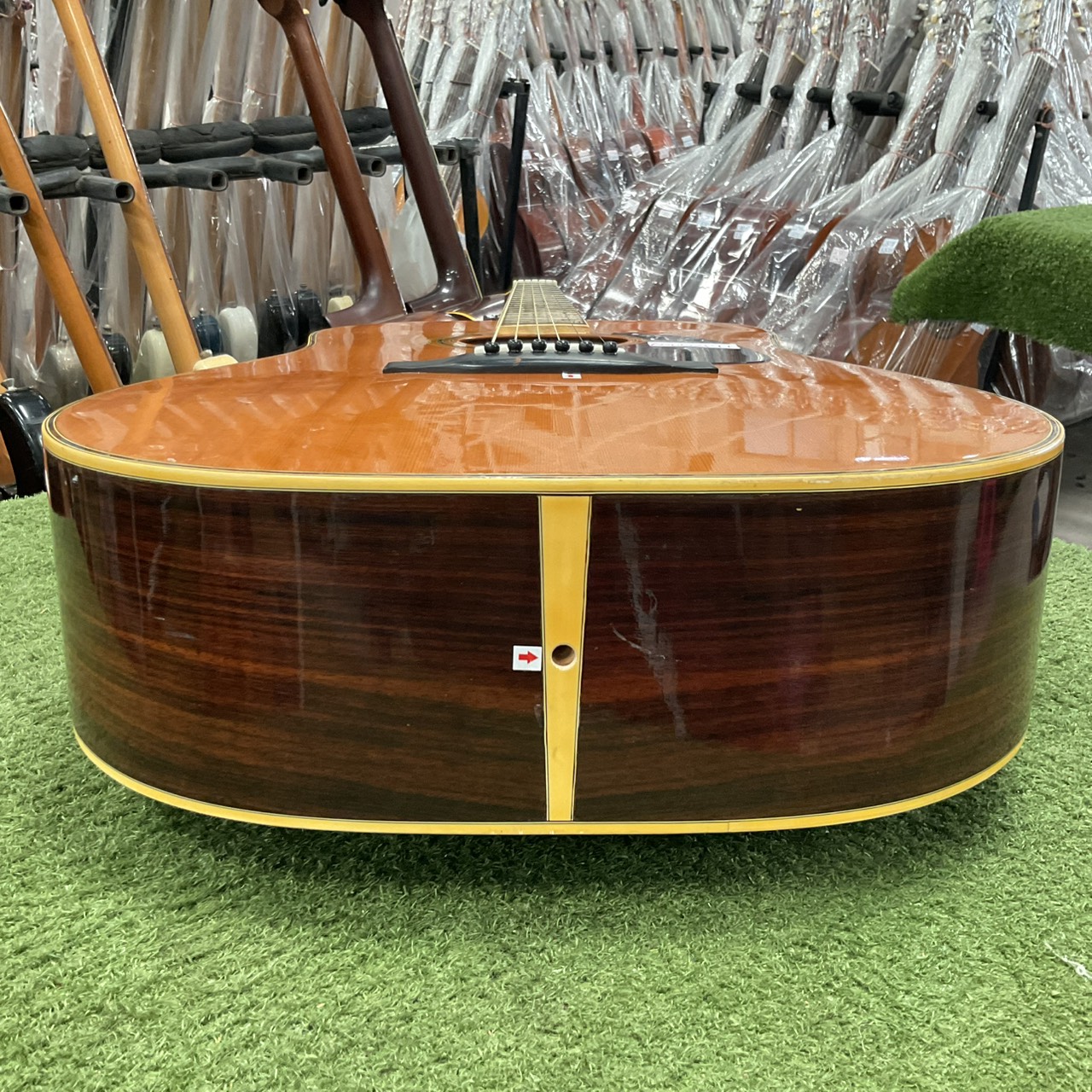 กีต้าร์โปร่ง Morris : W-30