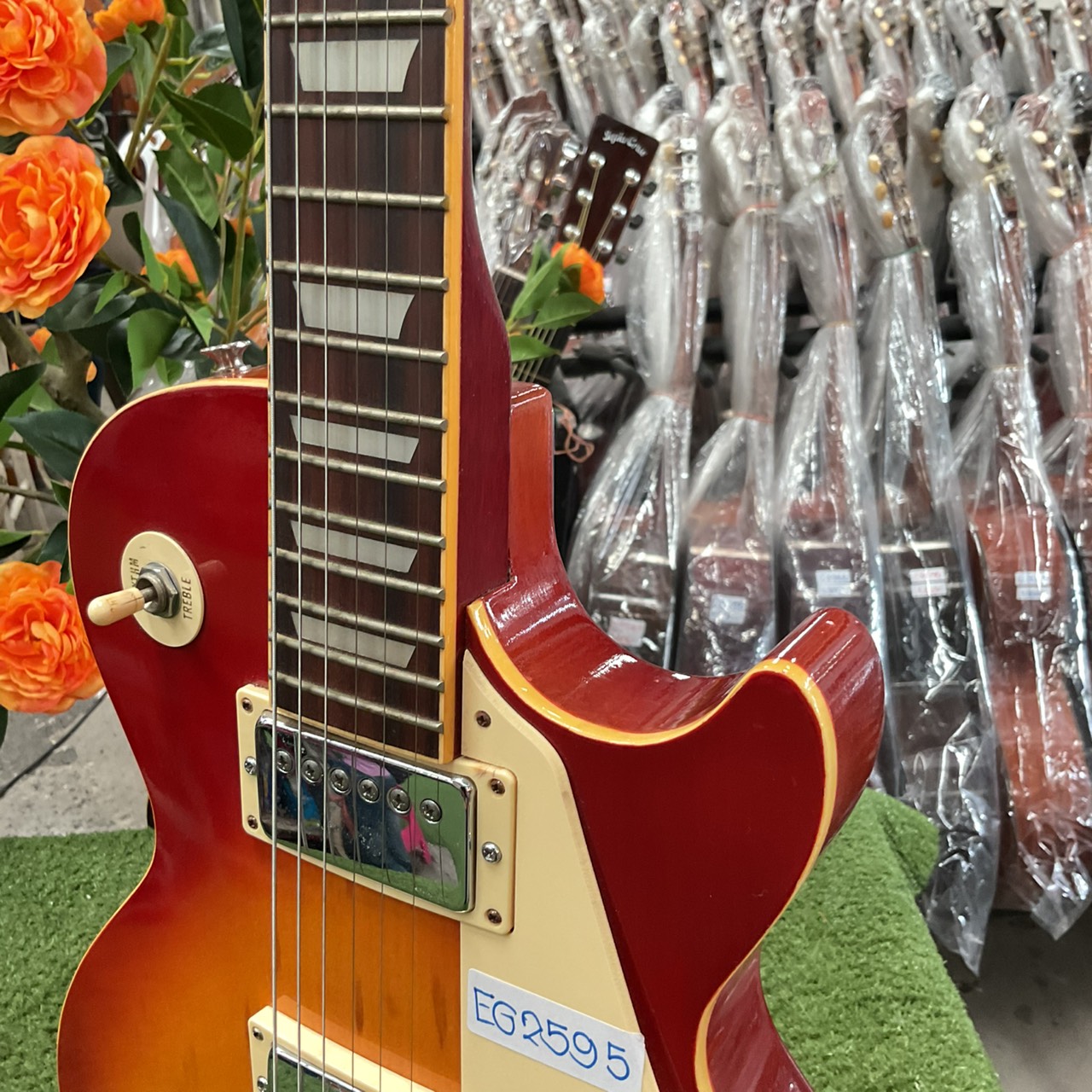 กีต้าร์ไฟฟ้า HOLLY