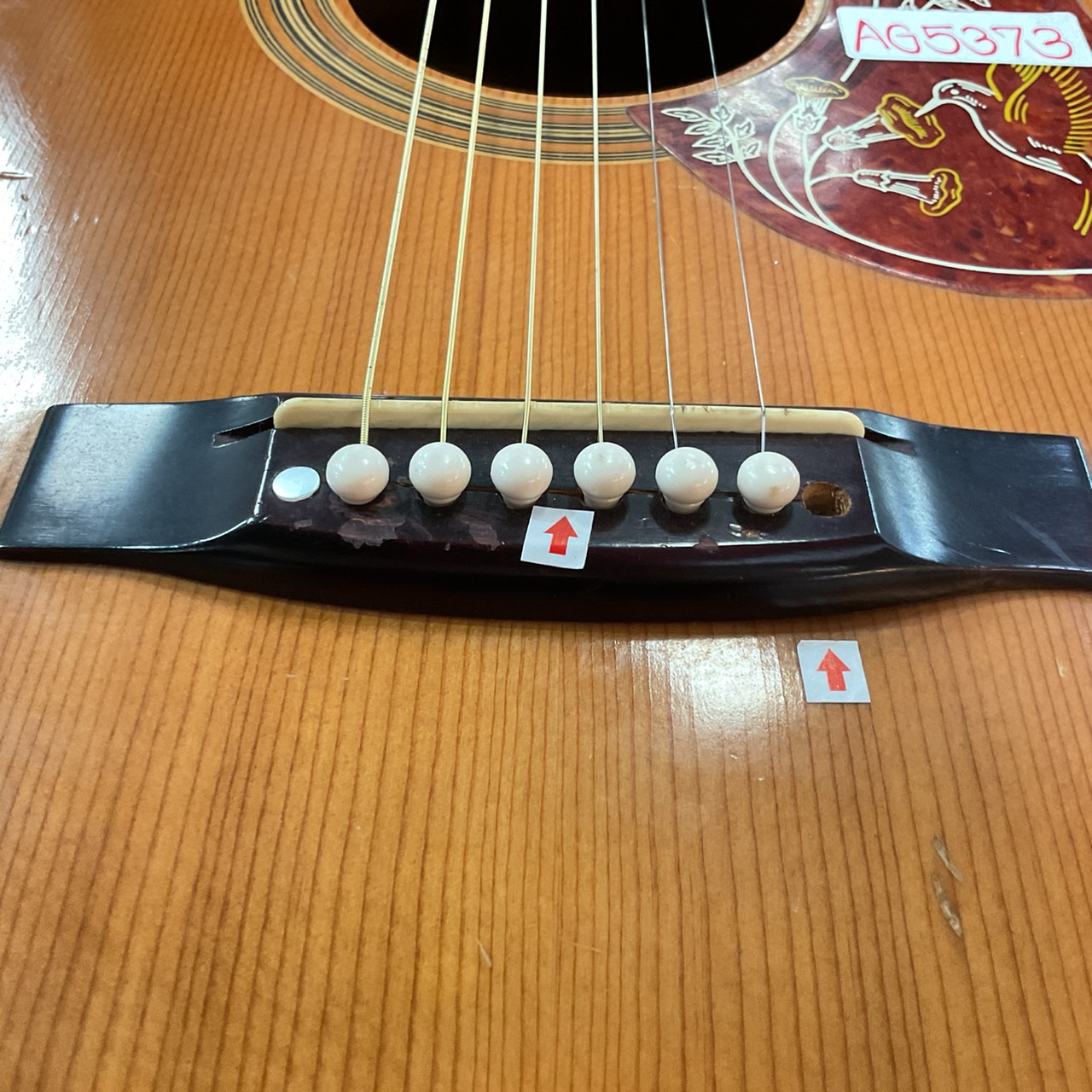 กีต้าร์โปร่ง VICTOR : F180