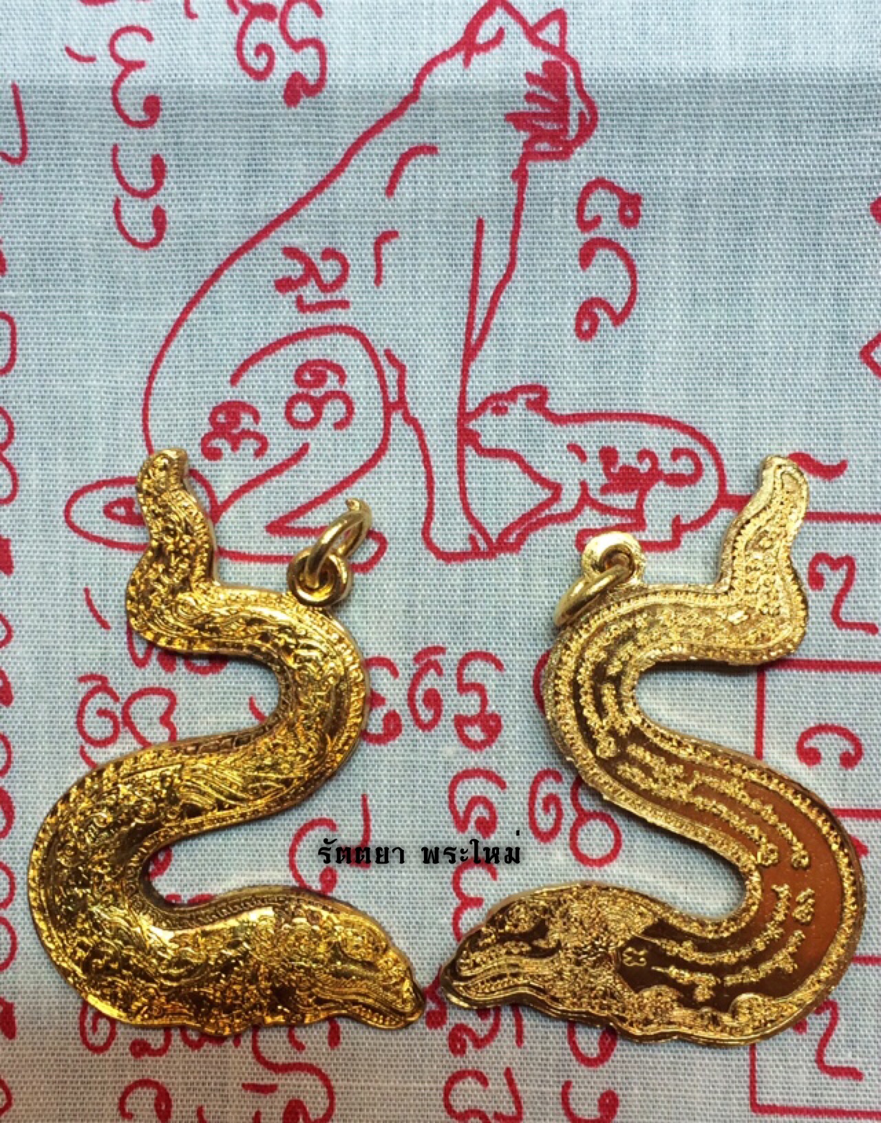 เหรียญพ่อปลาไหล หลวงพ่อผิน วัดโคกสว่าง เมืองปราจีนบุรี เนื้อทองเหลือง