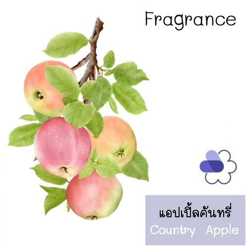 Apple : Country Apple หัวน้ำหอม แอปเปิ้ลคันทรี่ fruity fresh green กลิ่นหวานสดชื่นของแอปเปิ้ล ในไอเย็นของม่านหมอก ละลายในแอกอฮอล์