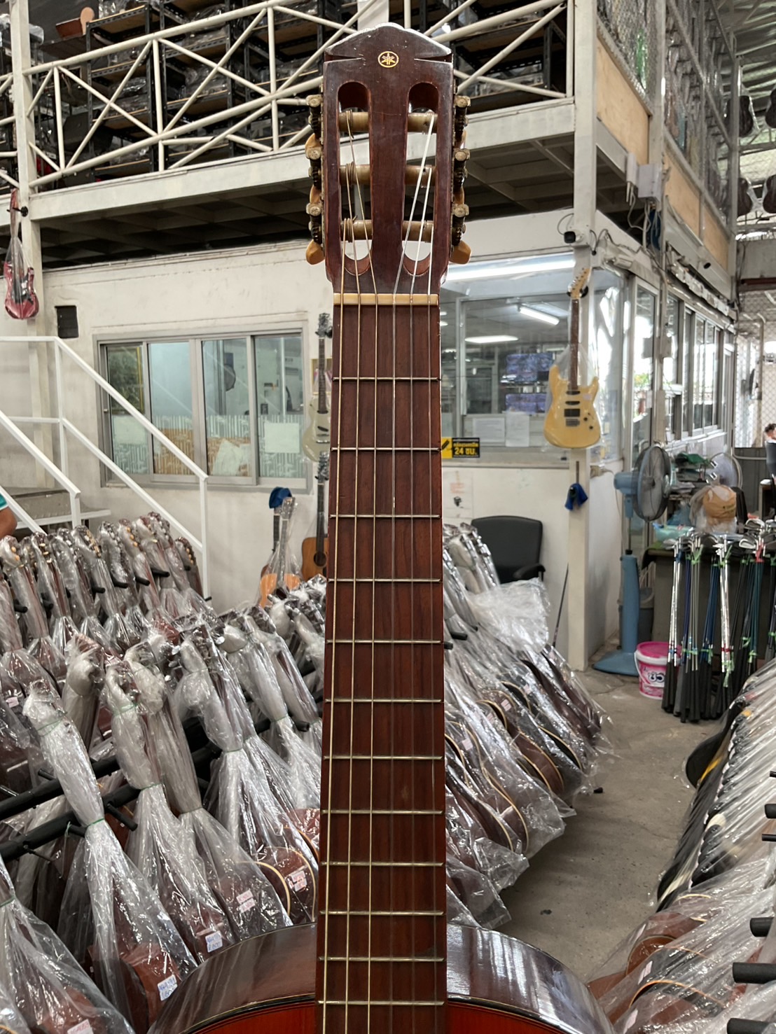 กีต้าร์คลาสสิค YAMAHA : G-70D