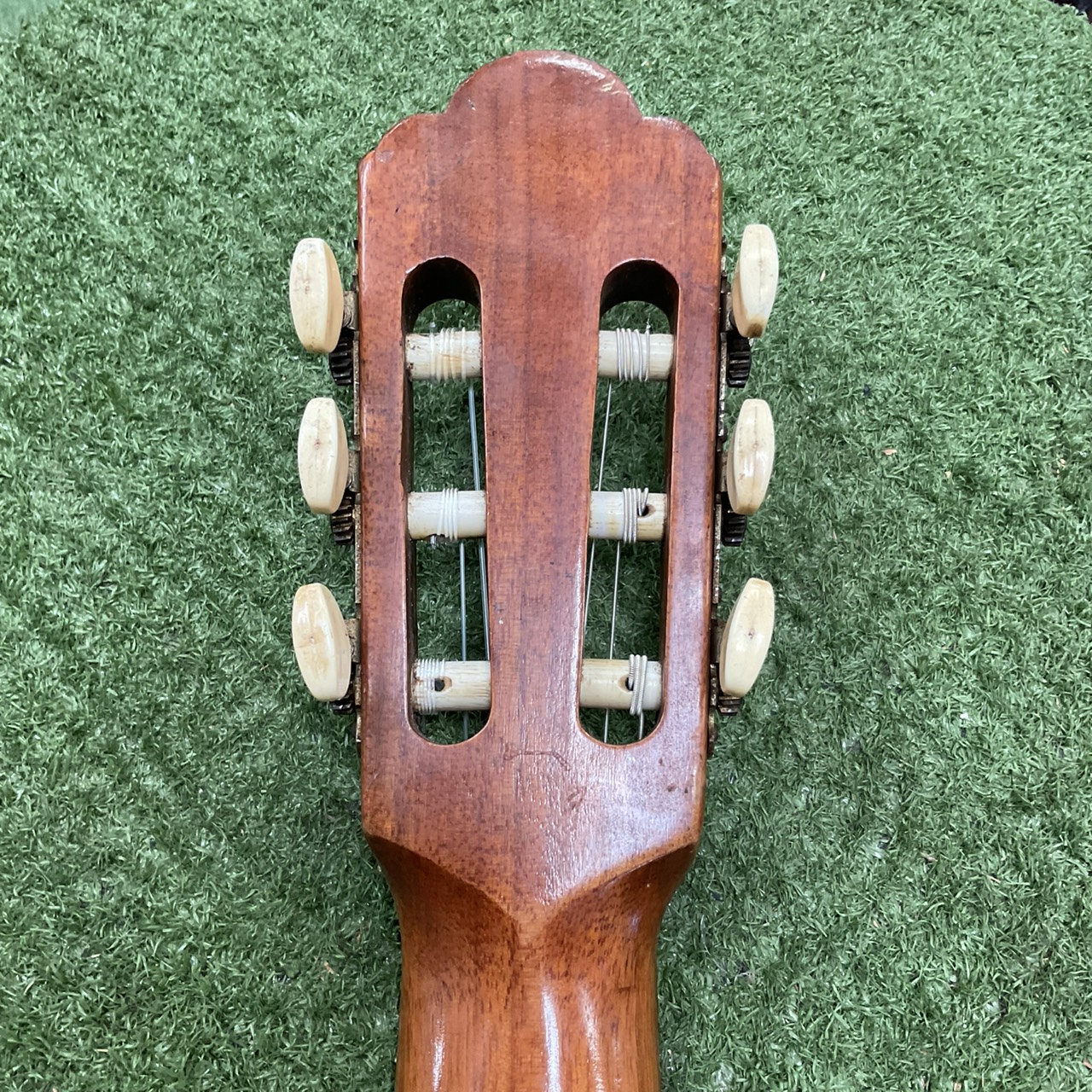 กีต้าร์คลาสสิค SUZUKI : No.40