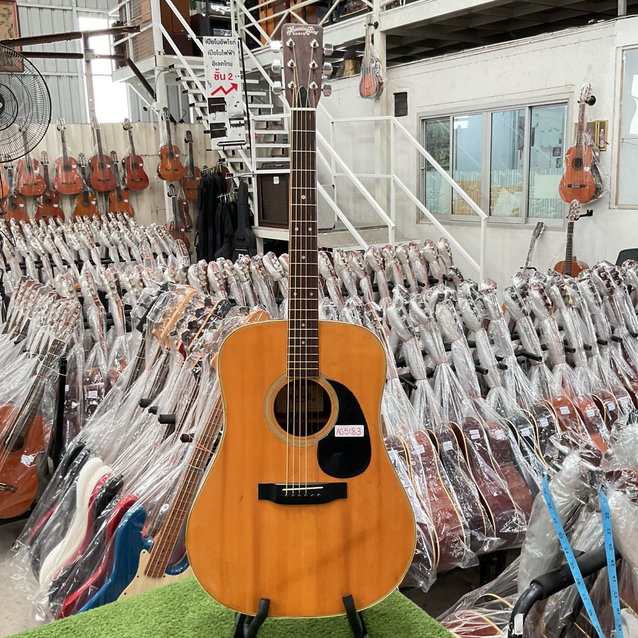 กีต้าร์โปร่ง Humming Bird : W-300