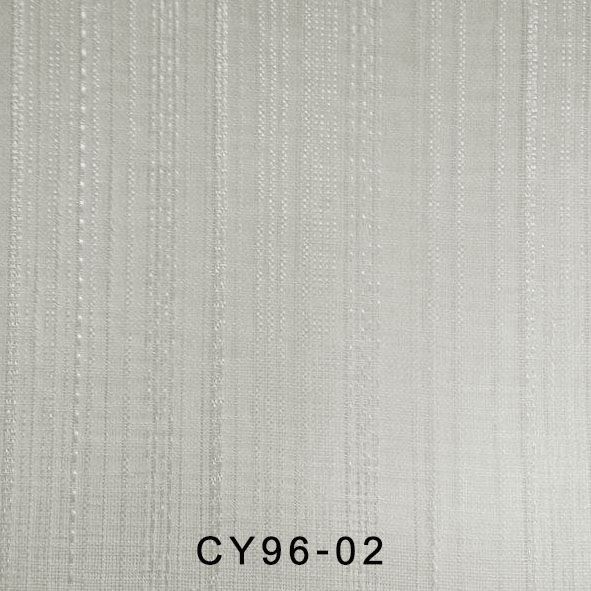 CY96-02