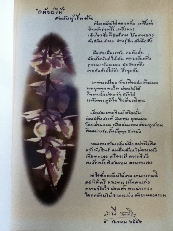 กล้วยไม้สำหรับผู้เริ่มต้น