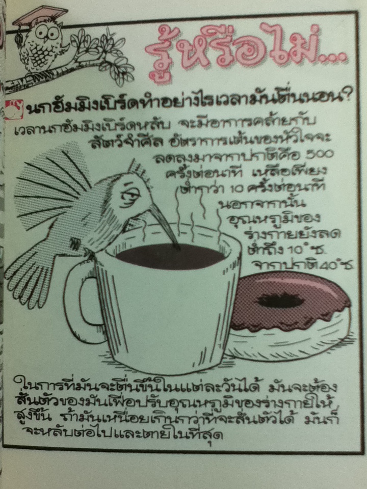 รู้หรือไม่ เจาะความลับภายในและรอบข้างสิ่งมีชีวิต และ แสงและสีหลังม่านตา / ลอรา ซูซูกิ, ปีเตอร์ คุก/ ดร.ปริศนา สิริอาชา ผู้แปล