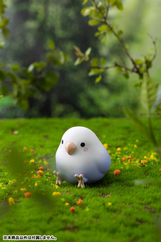 Kotori Taroko mini Series 6Pack BOX(Provisional Pre-order)